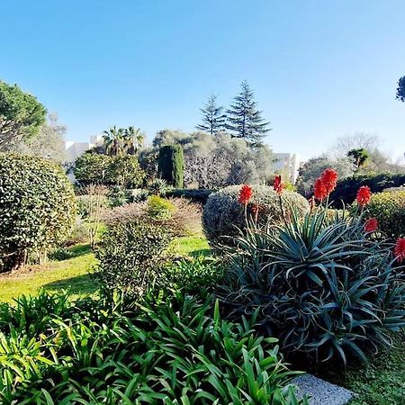 Studio Antibes Avec Piscine Exterior photo